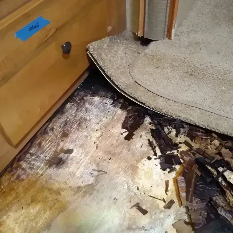 Best Wood Floor Water Damage Service in Bay Hill, FL